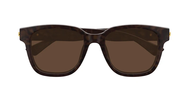 Bottega Veneta BV1461SK 002 54