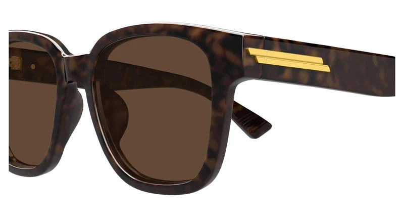 Bottega Veneta BV1461SK 002 54