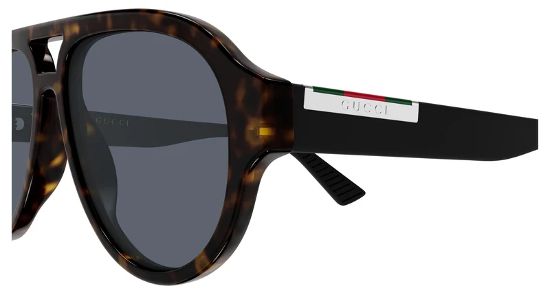 Gucci GG2088S 003 55