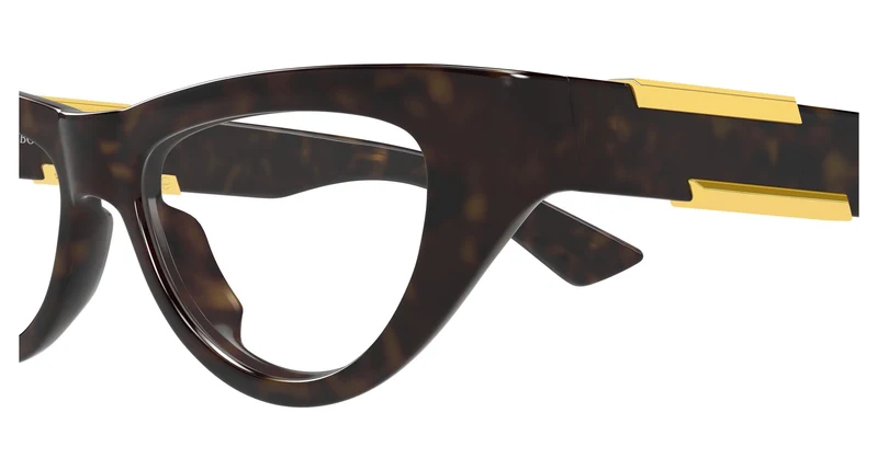 Bottega Veneta BV1454O 002 51