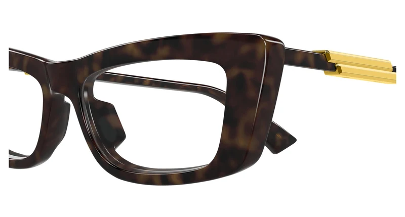 Bottega Veneta BV1449O 007 55