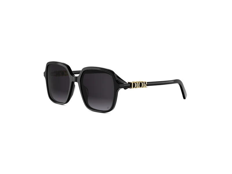 DIOR DIORTREASURE S1I CD40232I 10A1 01B 54