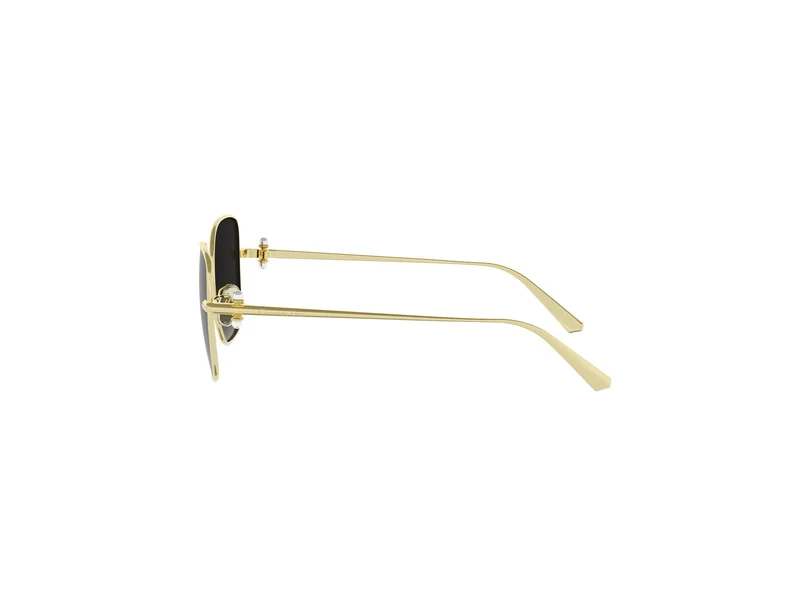 DIOR DIORTRIBALES S1U CD40234U B0A1 10B 55