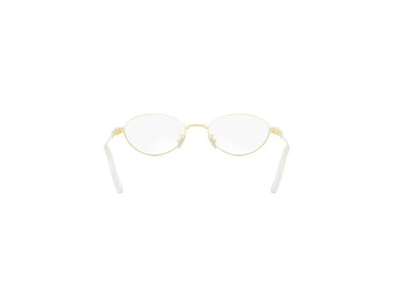 DIOR DIORCANNAGEO B3U CD50132U B000 010 51