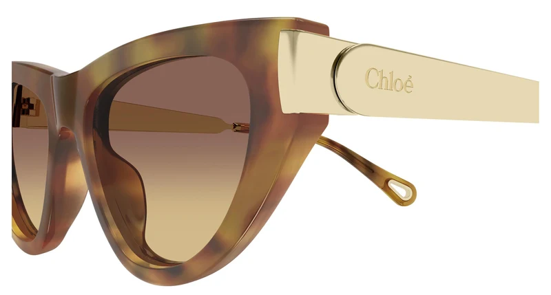 Chloé CH0350S 002 54