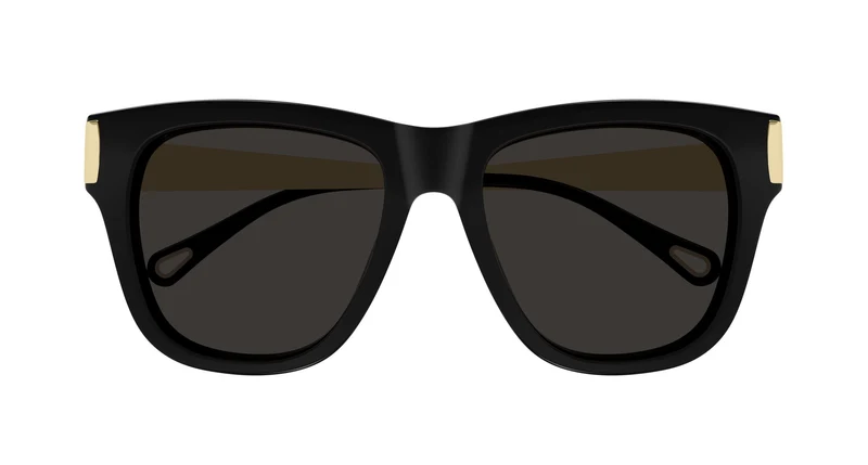 Chloé CH0349S 001 54