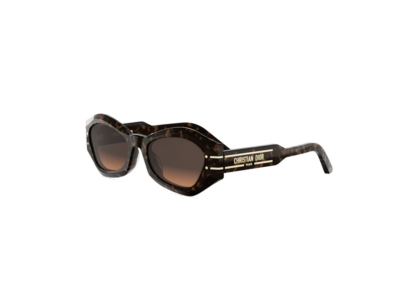 DIOR DIORSIGNATURE B1U CD40139U 24F1 55F 55