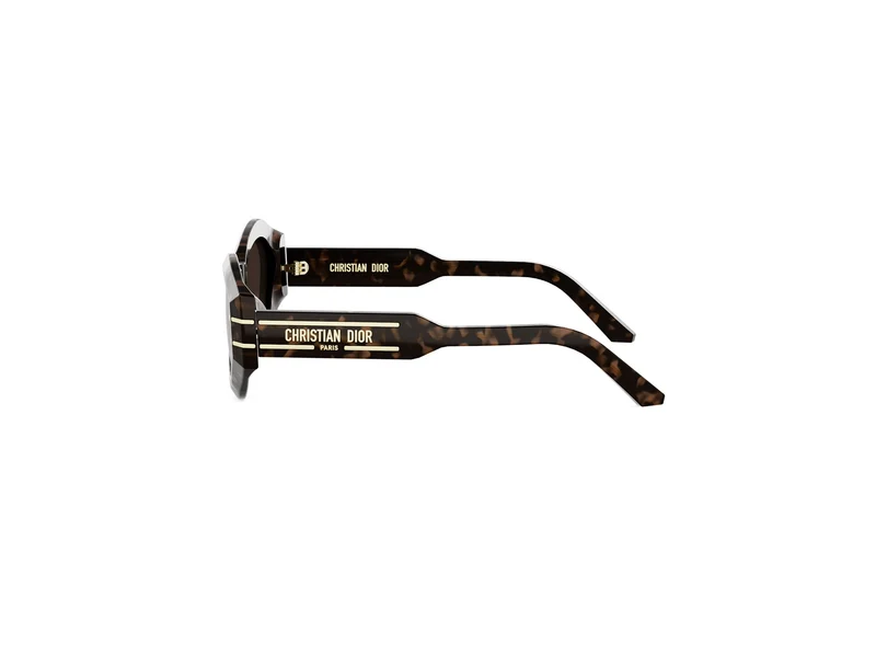 DIOR DIORSIGNATURE B1U CD40139U 24F1 55F 55