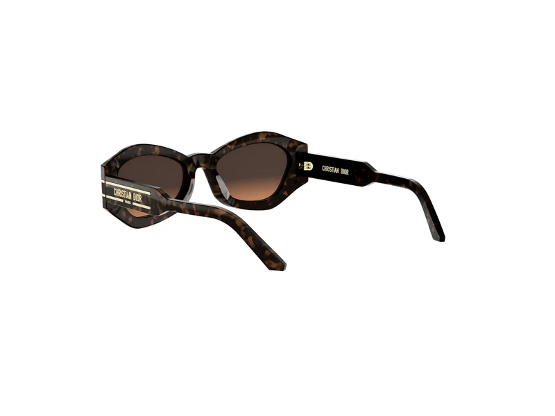 DIOR DIORSIGNATURE B1U CD40139U 24F1 55F 55