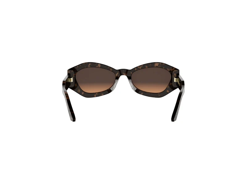 DIOR DIORSIGNATURE B1U CD40139U 24F1 55F 55