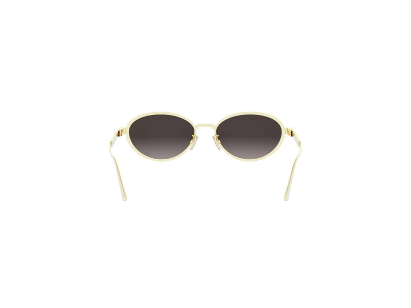 DIOR DIORCANNAGE R1U CD40209U B0A1 10B 53