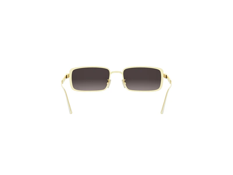DIOR DIORCANNAGE S2U CD40210U B0A1 10B 55
