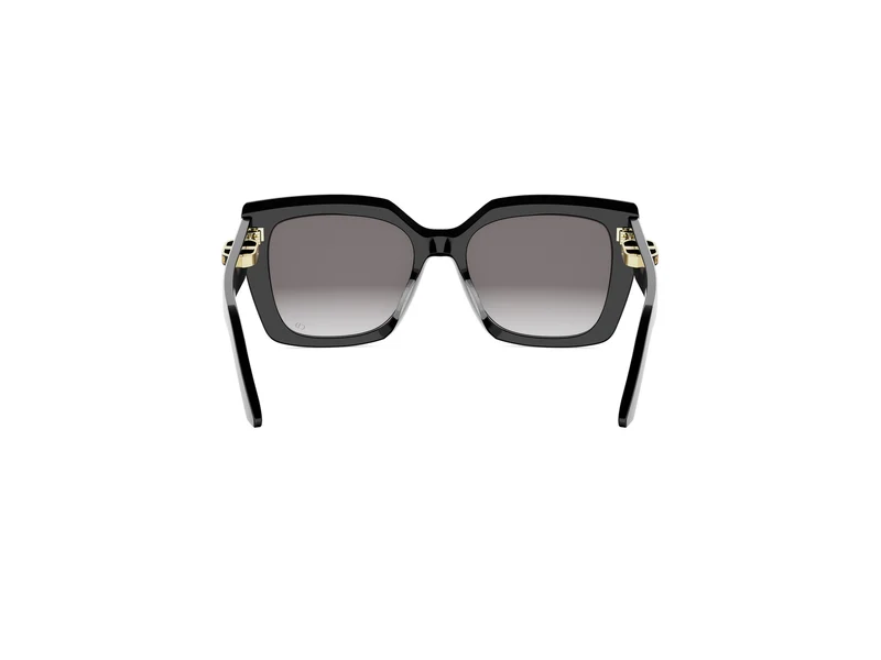 DIOR CDIOR S5I CD40230I 10A1 01B 55