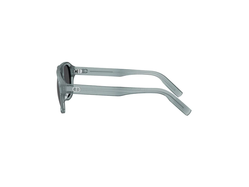 DIOR CD ICON A1I DM40173I 45A0 20A 55