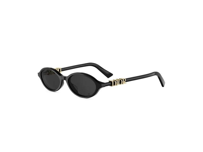 DIOR DIORTREASURE R1I CD40231I 10A0 01A 51