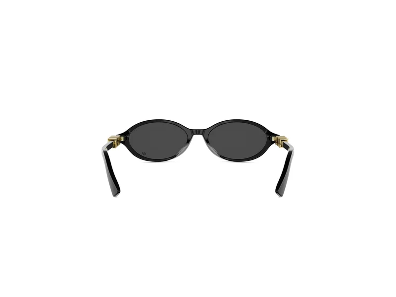DIOR DIORTREASURE R1I CD40231I 10A0 01A 51