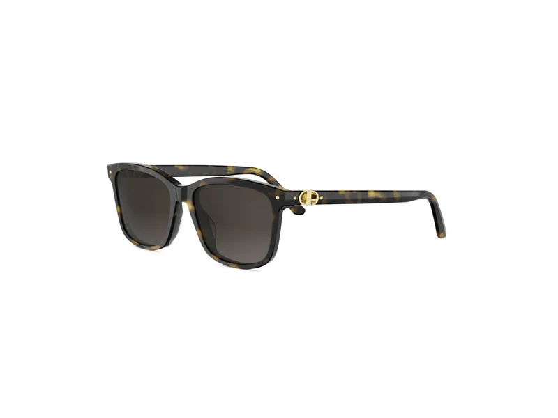 DIOR PETIT CD S2I CD40236I 20F1 52F 53
