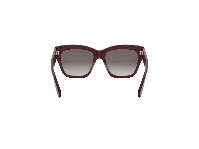 CELINE TRIOMPHE CL40253I 69F 55