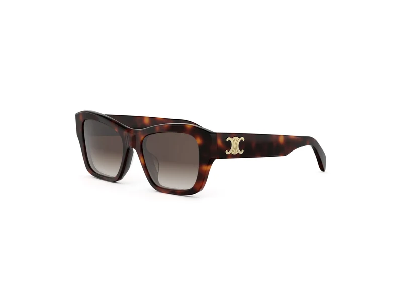 CELINE TRIOMPHE CL40330U 52F 54