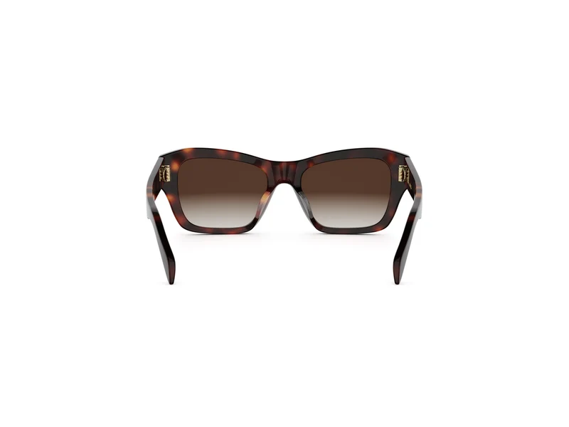 CELINE TRIOMPHE CL40330U 52F 54