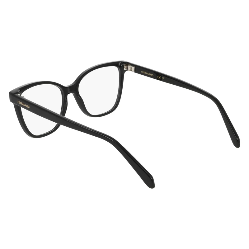 FERRAGAMO SF3062 1 54