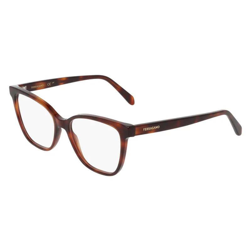 FERRAGAMO SF3062 240 54