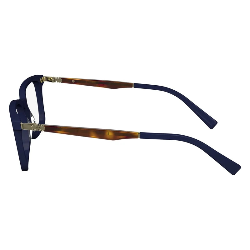 FERRAGAMO SF2969 414 53