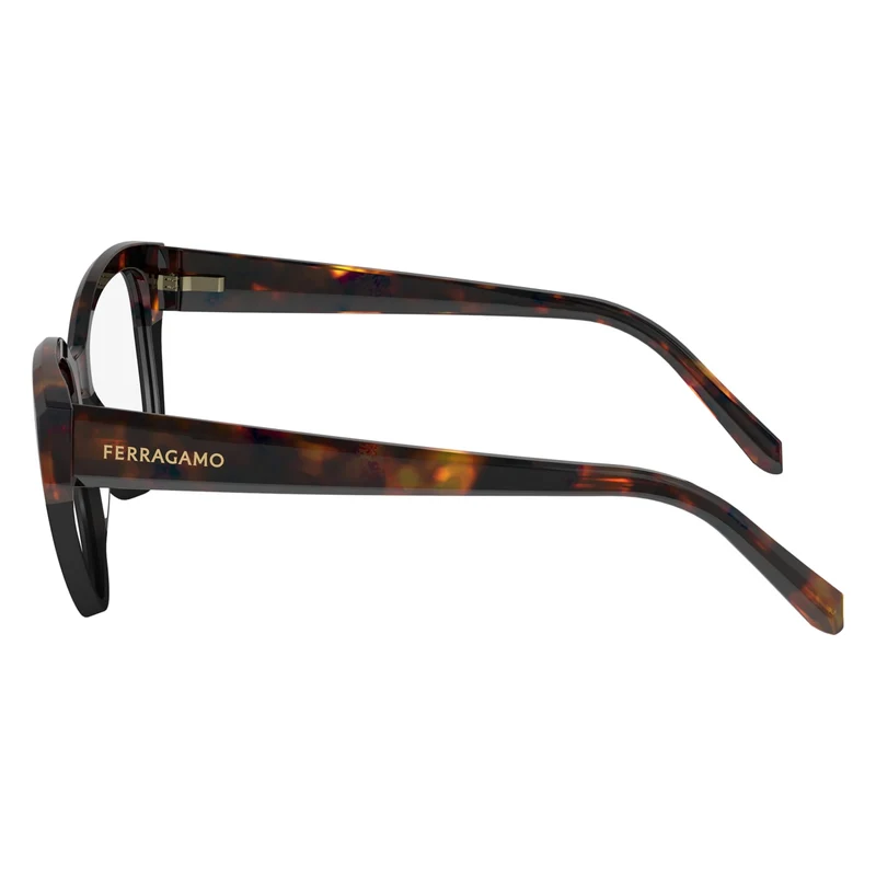 FERRAGAMO SF2970 241 53